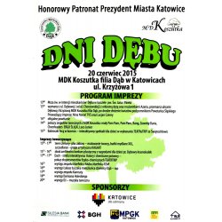 Festyn Dni Dębu