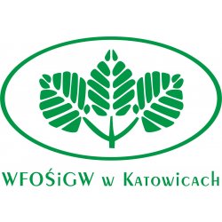 Akademia Skrzata Zaszybka - Lato w mieście