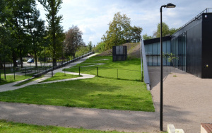 MDK Koszutka Filia Dąb