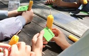 Relacja dnia 5 lipca - Akcja Lato w Mieście w filii 