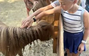 Relacja dnia 12 lipca - Akcja Lato w Mieście w filii 