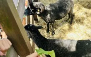 Relacja dnia 12 lipca - Akcja Lato w Mieście w filii 