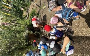 Relacja dnia 12 lipca - Akcja Lato w Mieście w filii 