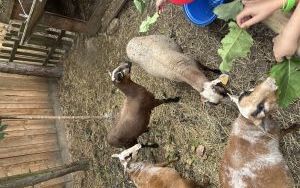 Relacja dnia 12 lipca - Akcja Lato w Mieście w filii 