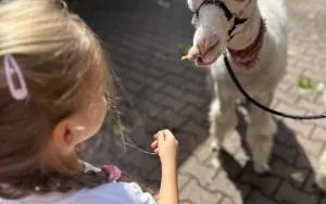 Relacja dnia 29 lipca - Akcja Lato w Mieście w filii 