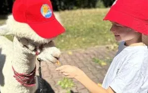 Relacja dnia 29 lipca - Akcja Lato w Mieście w filii 