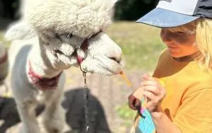 Relacja dnia 29 lipca - Akcja Lato w Mieście w filii 