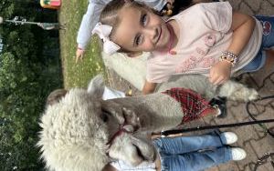 Relacja dnia 29 lipca - Akcja Lato w Mieście w filii 