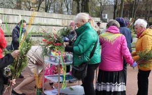 Relacja fotograficzna z tworzenia palm wielkanocnych w plenerze - warsztaty na amfiteatrze filii "Dąb" (7)