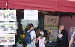 Relacja z festynu Dni Dębu (2)