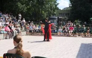 Relacja z festynu Dni Dębu (3)